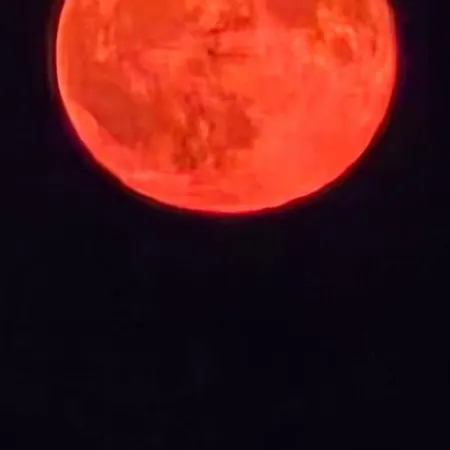 Casetta Sul Porticciolo Σπίτι διακοπών